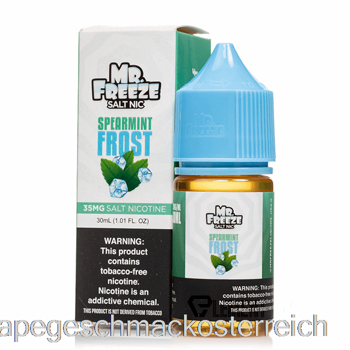 Spearmint Frost – Mr. Freeze Salts – 30 Ml, 35 Mg Vape-Geschmack